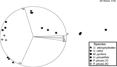 Nutritional profiling of five New Zealand seaweeds – a preliminary assessment